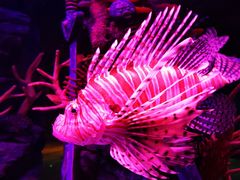 -沈阳海洋探索中心