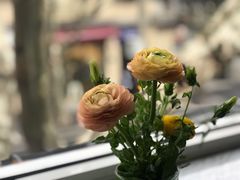 -蝶舍·MAISON PAPILLON