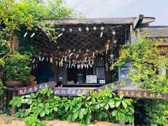 -南京老山国家森林公园