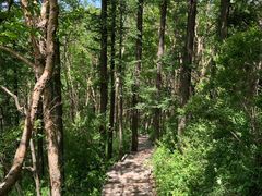 -白草畔自然风景区