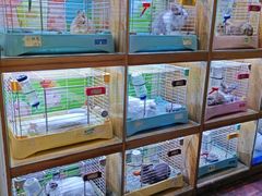 -宠物兔专门店(天丰利市场店)