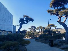 -罗红摄影艺术馆