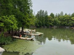 -东湖落雁景区