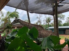 -海南热带野生动植物园