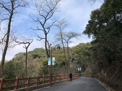 -杭州半山国家森林公园