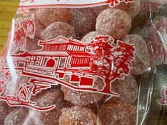 -苏州市吴中区光福窑上花果蜜饯厂