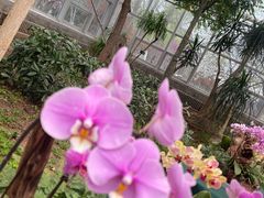 -石家庄市植物园