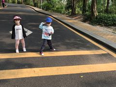 -银湖山郊野公园-相思林