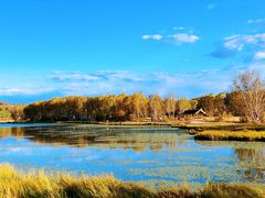 -塞罕坝国家级自然保护区