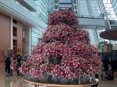 -RISE RESTAURANT(滨海湾金沙店)
