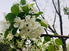 -西海子公园