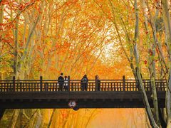 -塔川景区