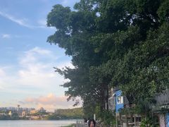 -东莞植物园