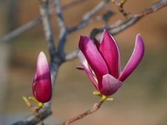 -北京西山国家森林公园