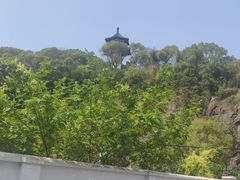 -上海佘山国家森林公园天马山园