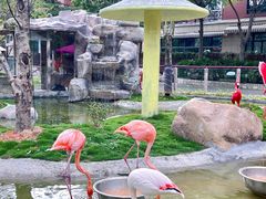 -灵玲国际马戏城