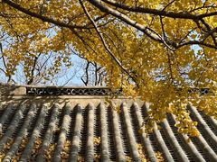 -青岛崂山太清宫