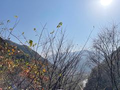 -秦岭风景区