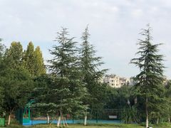 -金海湾滨江公园
