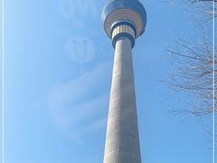 -中央广播电视塔