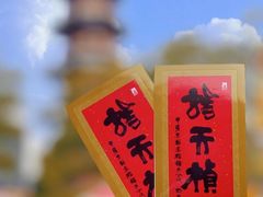 -龙华素斋(龙华路店)