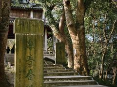 -溪口-滕头旅游景区