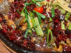 -老板恋上鱼(恒隆广场店)