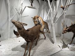 -南宫五洲植物乐园