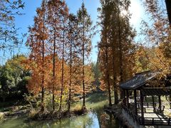 -兰亭风景区