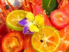 -Hi City·城市之巅