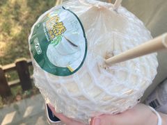 -上海野生动物园