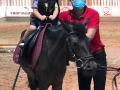 -李振强马术运动推广中心(南城店)