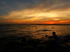 -宝安西湾红树林湿地公园