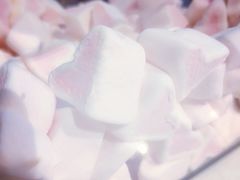 -狐狸和向日葵(北京路店)