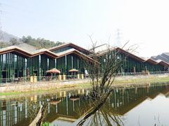 -西湖风景区-江洋畈生态公园