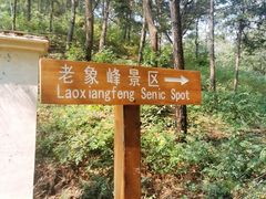 -老象峰