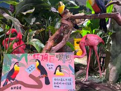 -正佳雨林生态植物园