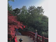 -大连植物园
