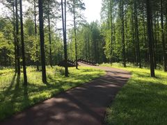 -黄海国家森林公园