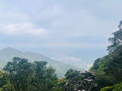 -梧桐山风景名胜区