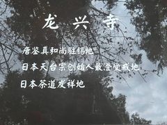 -龙兴寺