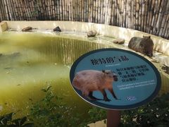-珠海长隆海洋王国