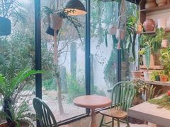 -自由生长植物工作室(深港花卉中心店)