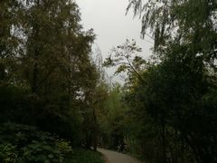 -新江湾城公园