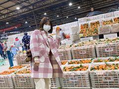 -菜园坝水果市场