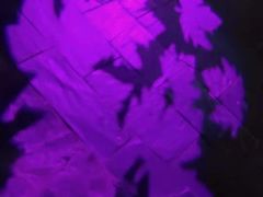 -多彩贵州城极地海洋世界