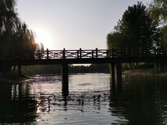 -上海鲜花港