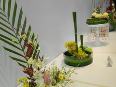 -广州市第二少年宫