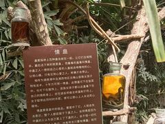 -呀路古热带植物园
