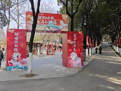 -合肥野生动物园